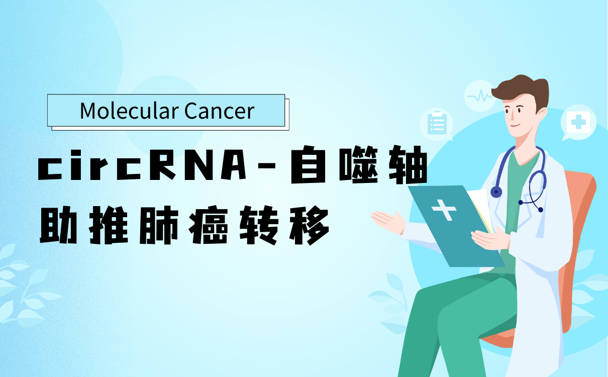 circRNA-自噬轴助推肺癌转移