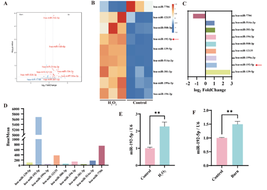 功能性miRNA的鉴定与筛选