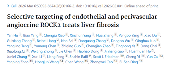 靶向血管微环境中的ROCK2