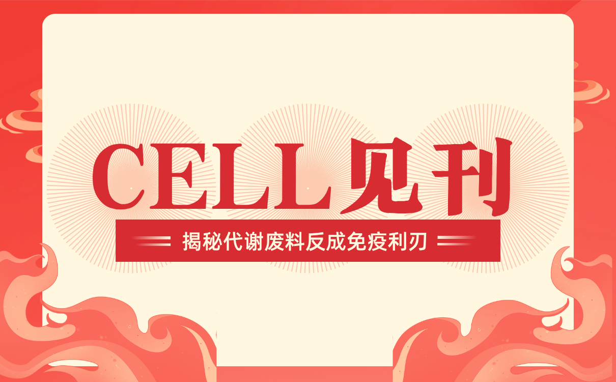 靶向血管微环境中的ROCK2